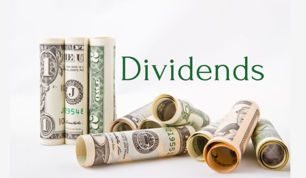 What Are Dividend Stocks?