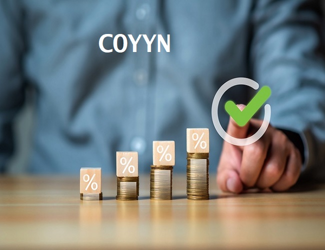 The Role of Coyyn.com in the Gig Economy