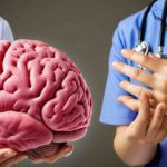 Doctorhub360.Com Neurological Diseases – A Complete Overview!